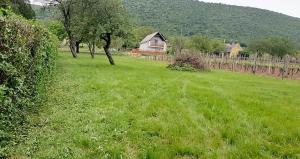 Eladó zártkerti gyümölcsös Balatonedericsen 