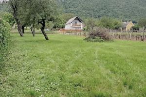 Eladó zártkerti gyümölcsös Balatonedericsen 