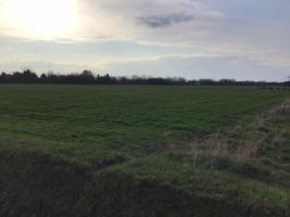 Gencsapáti frekventált utcájában kiváló adottságú telek eladó!