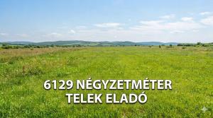 Eladó 6129 m² belterületi telek Meszlen központjában